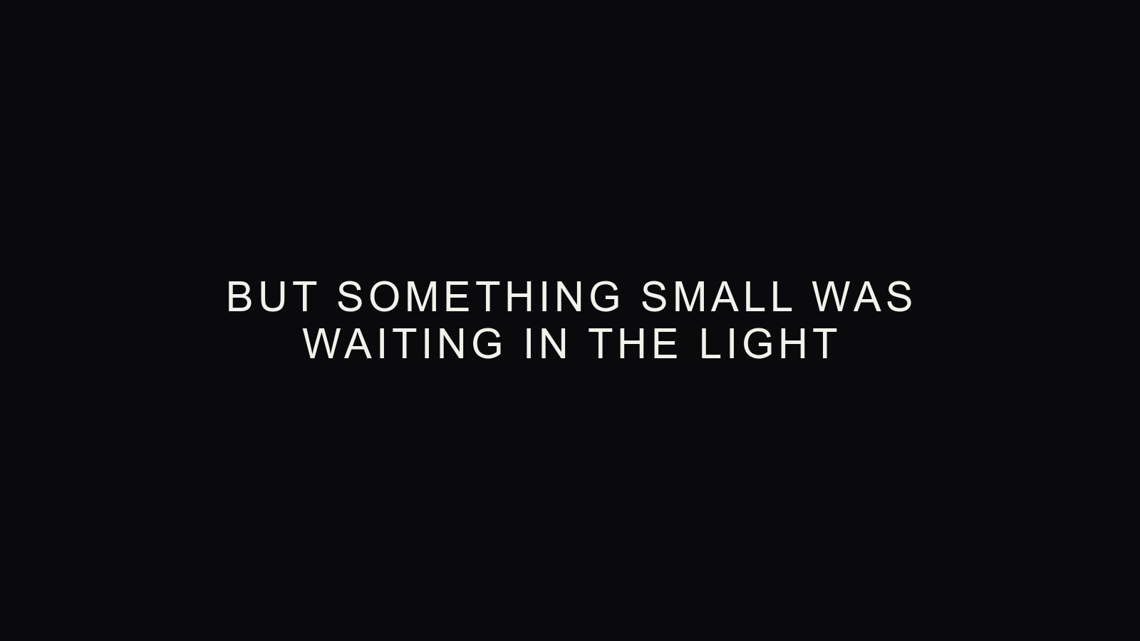 BUT SOMETHING SMALL WAS WAITING IN THE LIGHT